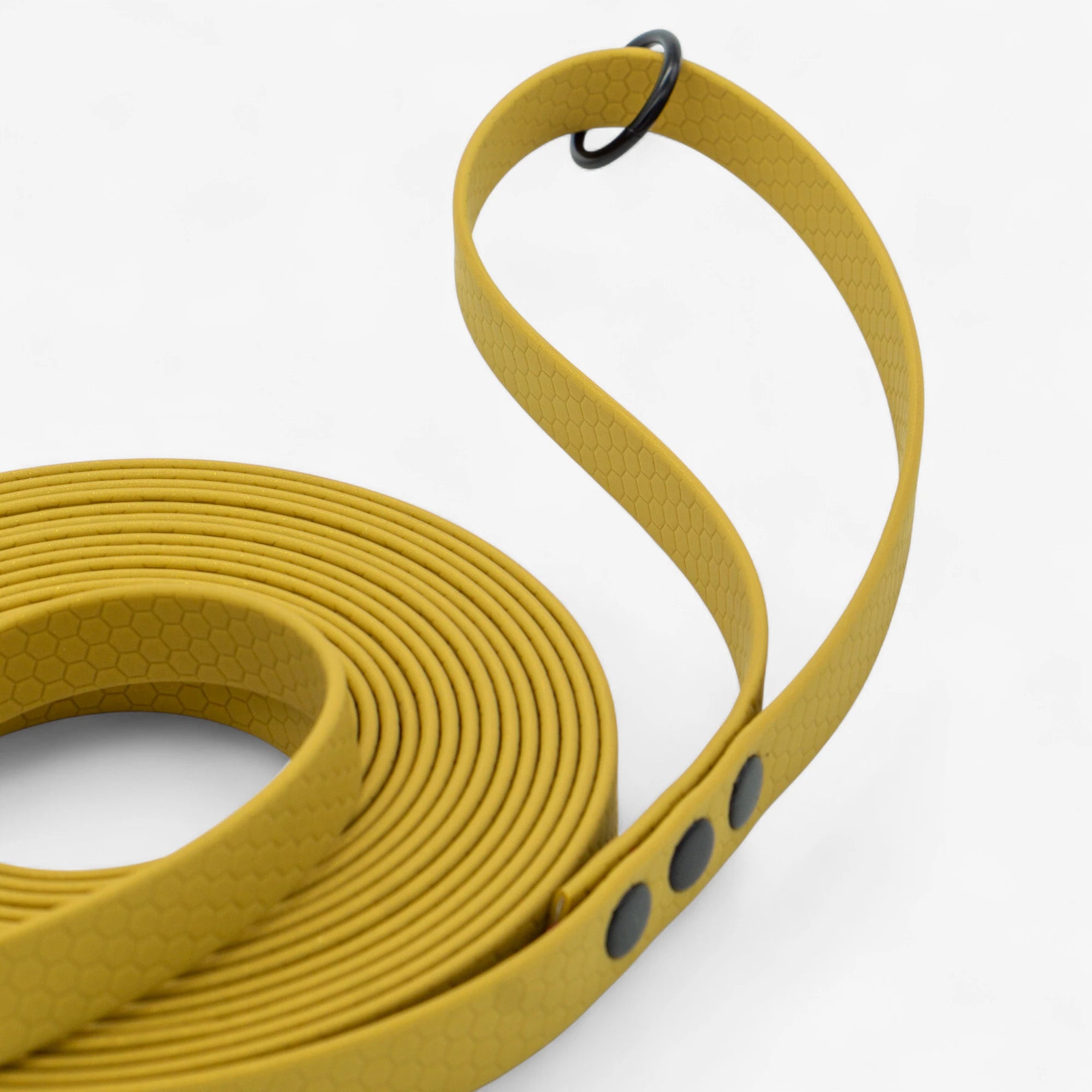 Hexa classic leash