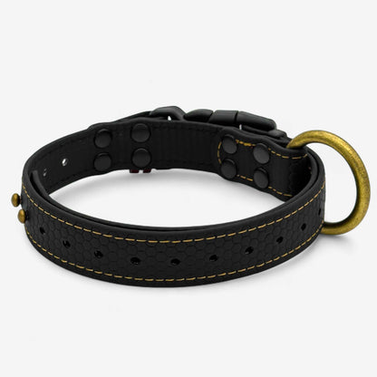 EasyFit waterproof collar for dogs