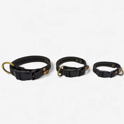 EasyFit waterproof collar for dogs