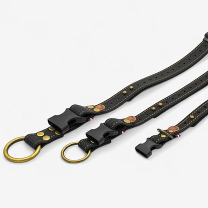 EasyFit waterproof collar for dogs