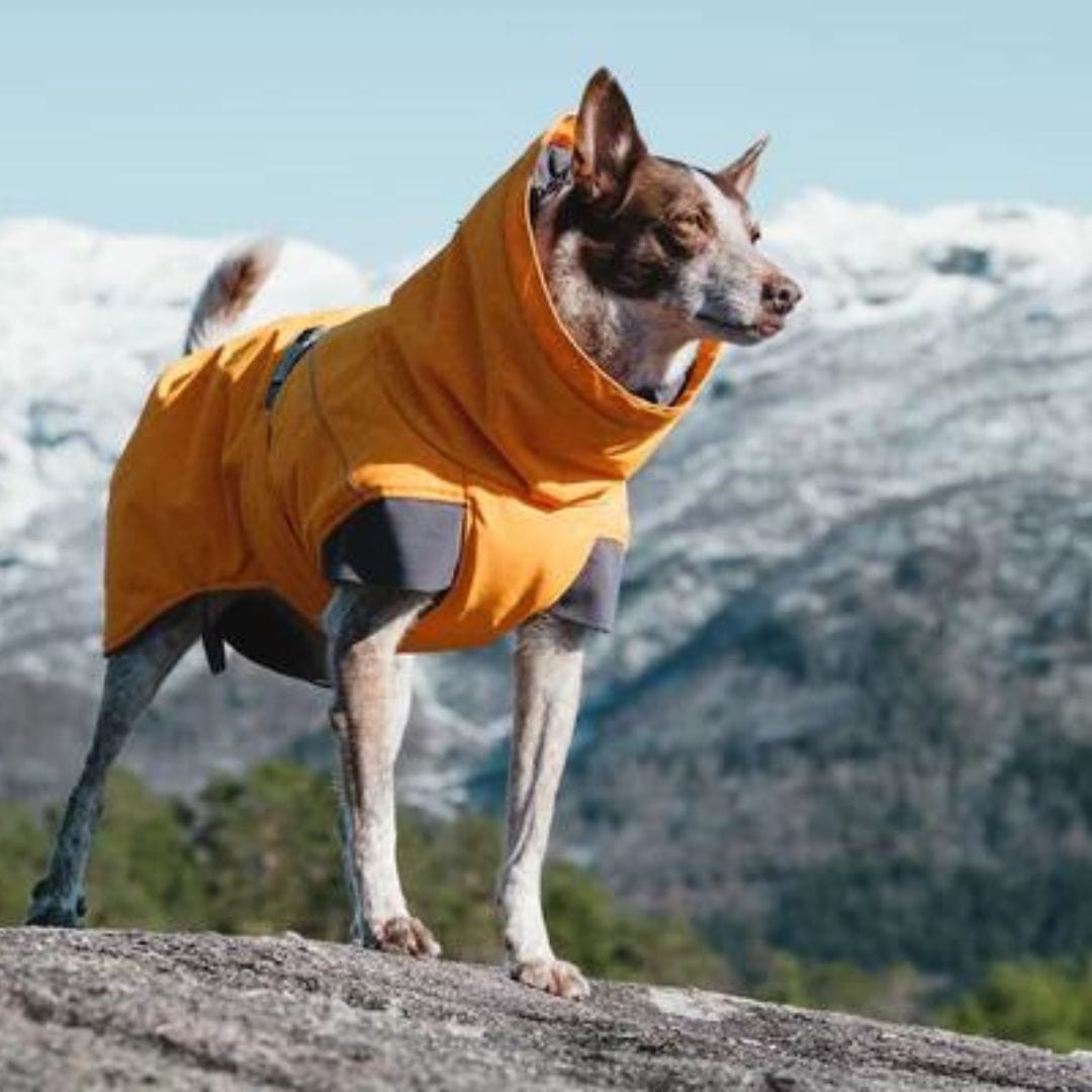 HURTTA Expedition ziemas jaka suņiem - ObiDog