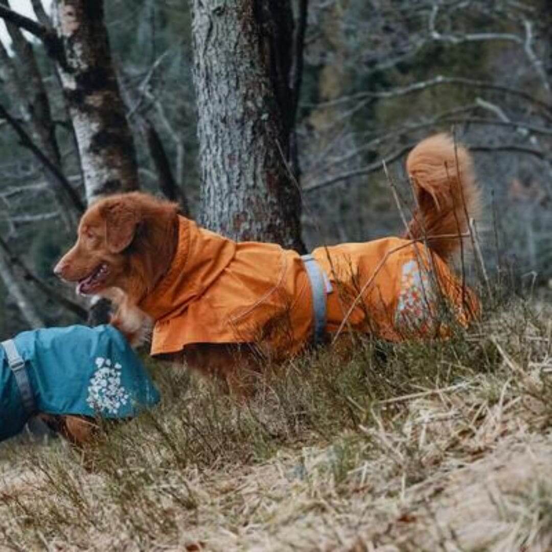 Hurtta Monsoon lietusmētelis suņiem - ObiDog