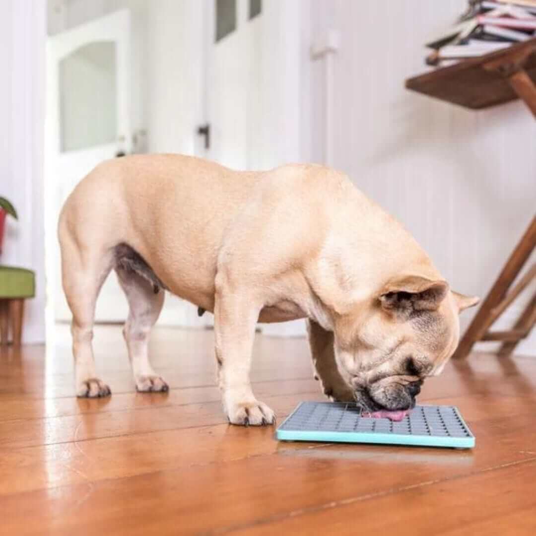 LickiMat Tuff Playdate laizāmais paklājs suņiem - ObiDog